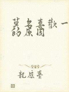 莫名喜欢一个人的原因