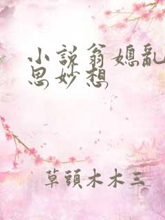 小说翁媳乱情奇思妙想