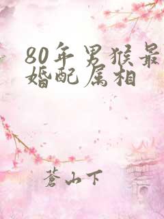 80年男猴最佳婚配属相