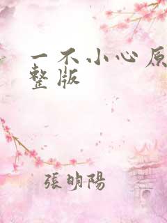 一不小心原唱完整版