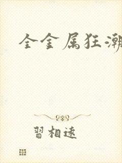 全金属狂潮小说