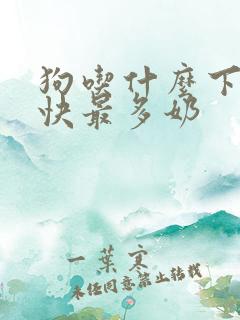 狗吃什么下奶最快最多奶