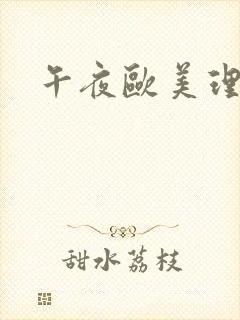 午夜欧美理论片