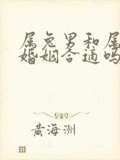 属兔男和属龙女婚姻合适吗