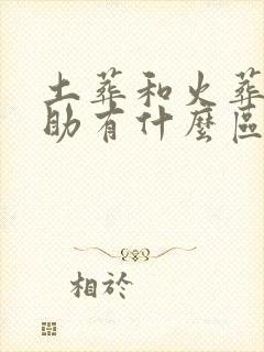 土葬和火葬的补助有什么区别