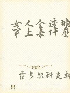 女人全透明内衣穿上长什么样