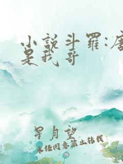 小说斗罗:唐三是我哥