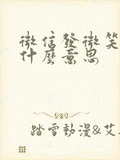 微信发微笑表情什么意思