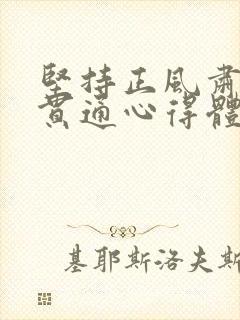 坚持正风肃纪相贯通心得体会