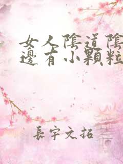 女人阴道阴唇两边有小颗粒