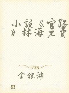 小说《官路风云》林海免费阅读