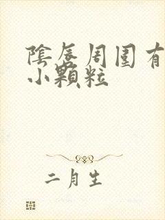 阴唇周围有一圈小颗粒