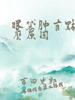 眼袋肿有点痒什么原因