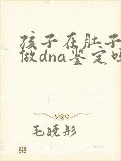 孩子在肚子里能做dna鉴定吗