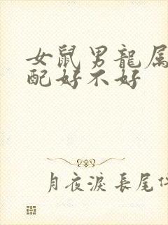 女鼠男龙属相婚配好不好