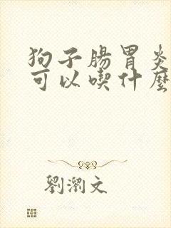 狗子肠胃炎拉血可以吃什么药