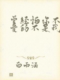 曾经怕你不爱我爱的不是我什么歌