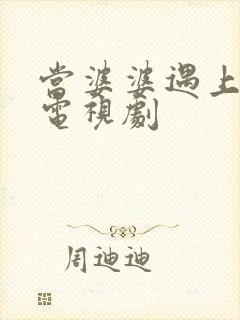 当婆婆遇上的妈电视剧