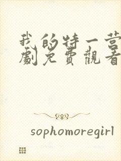 我的特一营电视剧免费观看