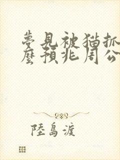 梦见被猫抓咬什么预兆周公解梦