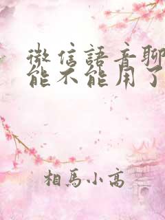 微信语音聊天功能不能用了怎么办