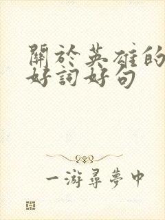 关于英雄的摘抄好词好句