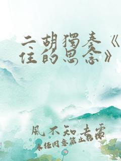 二胡独奏《挡不住的思念》