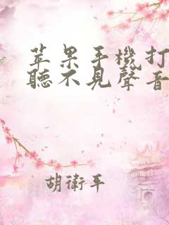 苹果手机打视频听不见声音