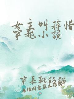 女主叫蒋惜纯的穿越小说