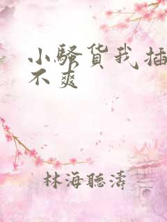 小骚货我插的爽不爽