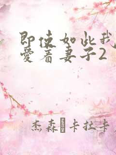 即使如此我还是爱着妻子2