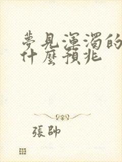 梦见浑浊的洪水什么预兆