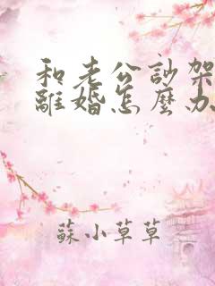 和老公吵架了想离婚怎么办