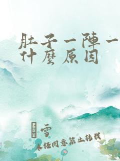 肚子一阵一阵痛什么原因