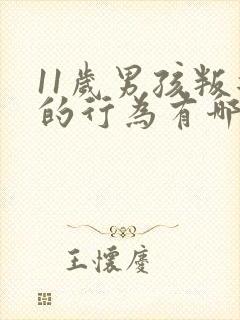 11岁男孩叛逆的行为有哪些