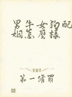 男牛女狗配的婚姻怎么样