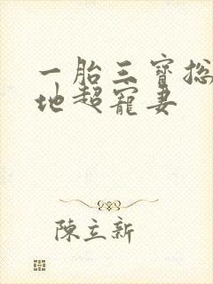 一胎三宝总裁爹地超宠妻