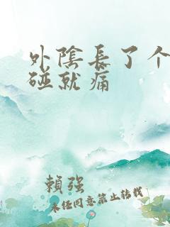 外阴长了个包一碰就痛