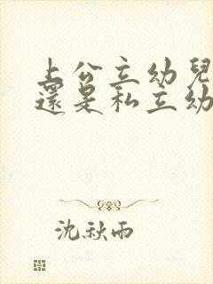 上公立幼儿园好还是私立幼儿园好