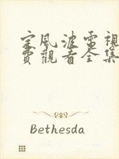 定风波电视剧免费观看全集在线播放