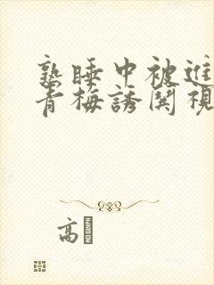 熟睡中被进了H青梅诱哄视频