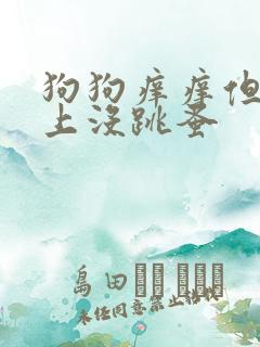 狗狗痒痒但是身上没跳蚤