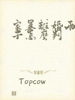 家暴离婚两个孩子怎么判