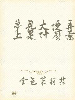 梦见大便弄在身上是什么意思