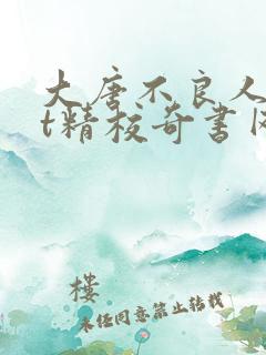 大唐不良人txt精校奇书网