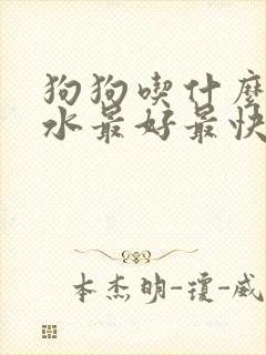 狗狗吃什么补奶水最好最快