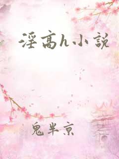 淫高h小说