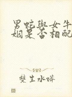 男蛇与女牛的婚姻是否相配