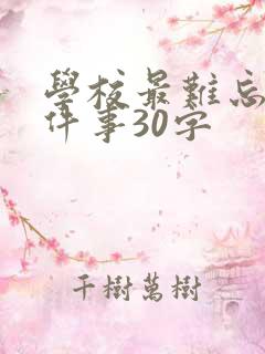 学校最难忘的一件事30字