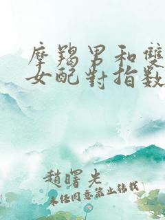 摩羯男和双子座女配对指数